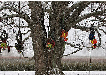 Welland Services d'arboriculteur Shorthills Tree Service Inc.