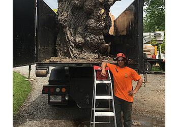 Welland Services d'arboriculteur Shorthills Tree Service Inc.