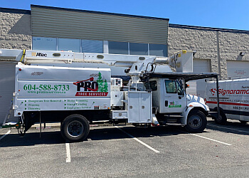 Langley sign company Signarama Langley