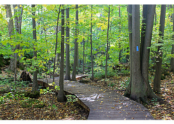 Caledon hiking trail Silver Creek Conservation Area image 1