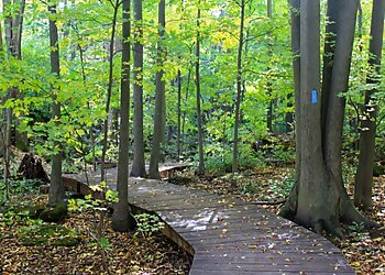 Halton Hills places to see Silver Creek Conservation Area