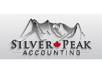 London Services Fiscaux Silver Peak Accounting