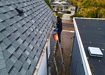 Silverlight Window And Eaves - Toronto, ON Gutter Cleaners - Field Work Image