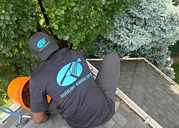 Silverlight Window And Eaves - Toronto, ON Gutter Cleaners - Team Working Image