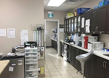Simcoe Rossland Animal Hospital - Oshawa, ON Veterinary Clinics - Doctor With Patient Image