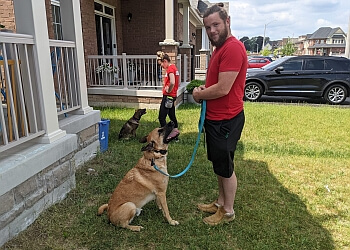 Sit Means Sit Ajax