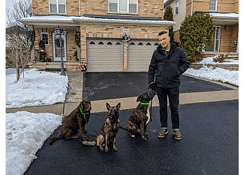 Pickering dog trainer Sit Means Sit Ajax