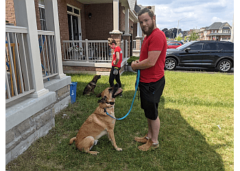 Pickering dog trainer Sit Means Sit Ajax