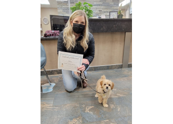 Prince George dog trainer Sit Pretty Behavior & Training