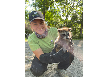 skedaddle wildlife reviews skedaddle wildlife reviews