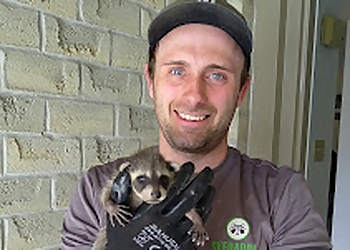 Skedaddle Humane Wildlife Control - London, ON Élimination Des Animaux - Service Highlights