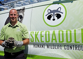 skedaddle humane wildlife control reviews