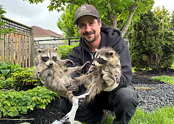 Skedaddle Humane Wildlife Control Cambridge - Cambridge, ON Animal Removal - Service Highlights