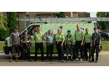 London animal removal Skedaddle Humane Wildlife Control