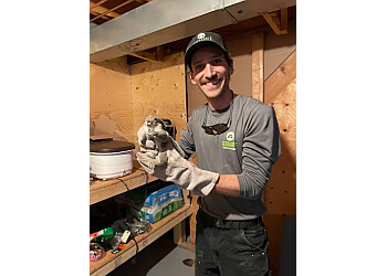 St Catharines animal removal Skedaddle Humane Wildlife Control St. Catharines