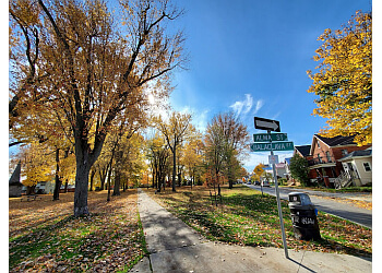 Kingston public park Skeleton Park