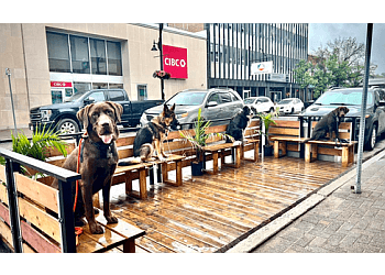 Sudbury Dresseurs De Chiens Skiplyn Kennels