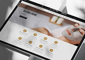 Skyfall Blue - Ottawa, ON Web Designers - Project Image