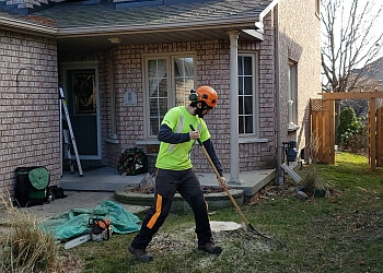 Oshawa tree service Skylark Tree Care