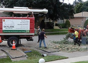 Oshawa tree service Skylark Tree Care image 1