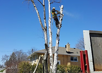 Skylark Tree Care Inc. - Oshawa, ON Services d'arboriculteur - Business Exterior Image
