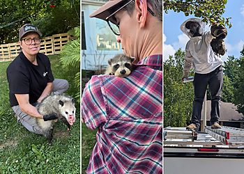 Guelph pest control Sleep Easy Pest Control