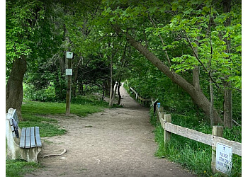 Hamilton hiking trail Smokey Hollow Waterfall