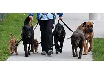 Windsor dog trainer Smoochie Poochies