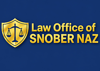 Snober Naz - Ajax, ON Civil Litigation Lawyer - Law Firm Logo