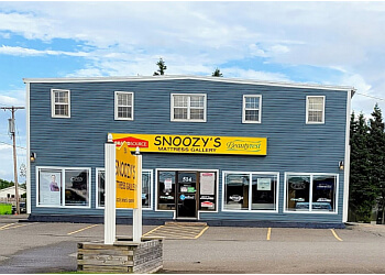 Snoozy's Simmons Mattress Gallery