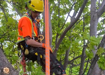 St Johns Service D'Entretien De Pelouse Snow and Mow Inc.