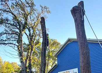 St Johns Service D'Entretien De Pelouse Snow and Mow Inc.