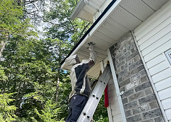 Kingston Services d'extermination de parasites Solace Pest Solutions