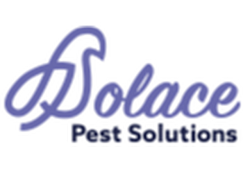Kingston Services d'extermination de parasites Solace Pest Solutions