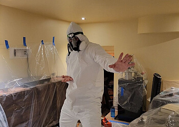 North Vancouver pest control Solutions Pest Control