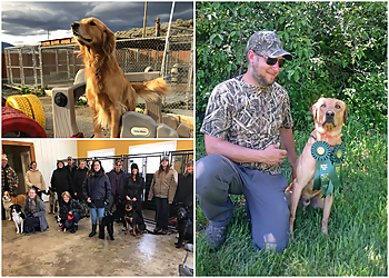 Kamloops dog trainer Someday Retrievers