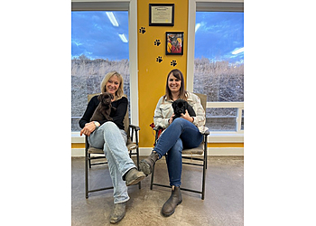 Kamloops dog trainer Someday Retrievers