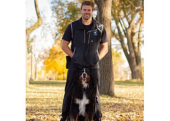 Montreal dog trainer Southwest Dog Training