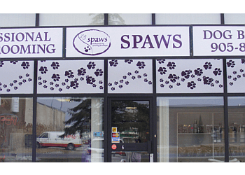 Spaws Professional Dog Grooming & Boutique