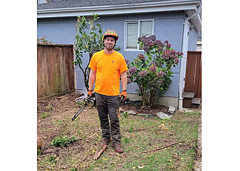 Port Coquitlam tree service Specialized Tree Care