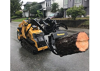 Port Coquitlam tree service Specialized Tree Care