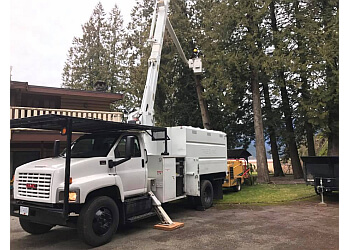Port Coquitlam tree service Specialized Tree Care