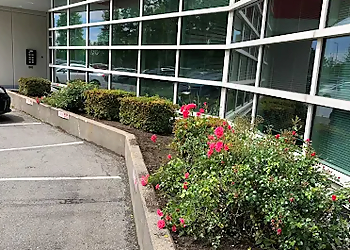 Delta landscaping company Splendid Landscaping Services