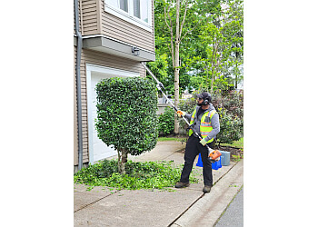 New Westminster lawn care service Splendid Landscape Services Inc.