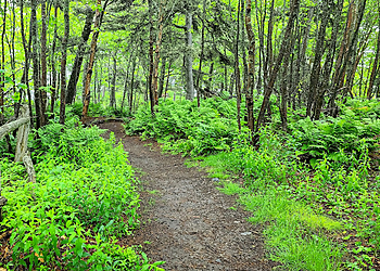 Saint John hiking trail Split Rock Trail
