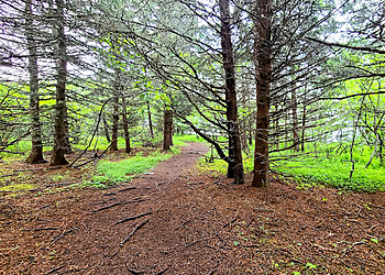 Saint John Sentiers De Randonnée  Split Rock Trail