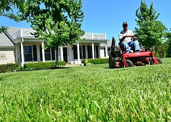 Vancouver Service D'Entretien De Pelouse Sprout Landscapes