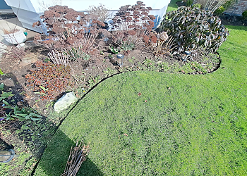 Richmond lawn care service Square Lawn & Garden Care