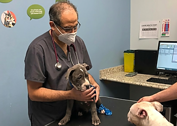 St. Catharines Animal Hospital - St Catharines, ON Cliniques Vétérinaires - Clinic Interior Image