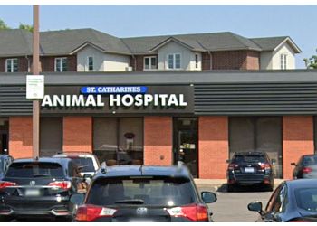 24++ Animal hospital st catharines ontario info